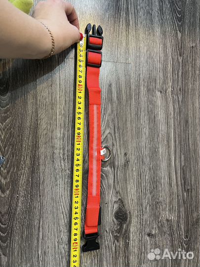 Светящиеся ошейники для животных