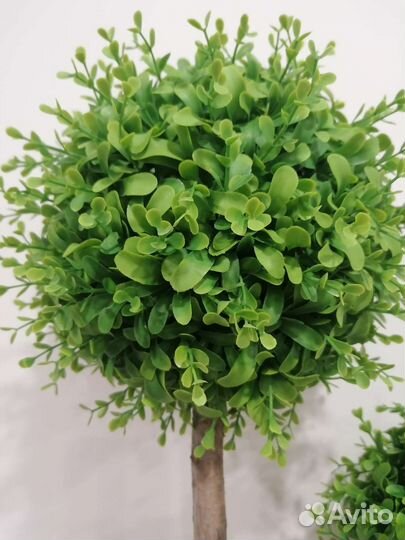 Искусственные деревья/Самшит/Декор