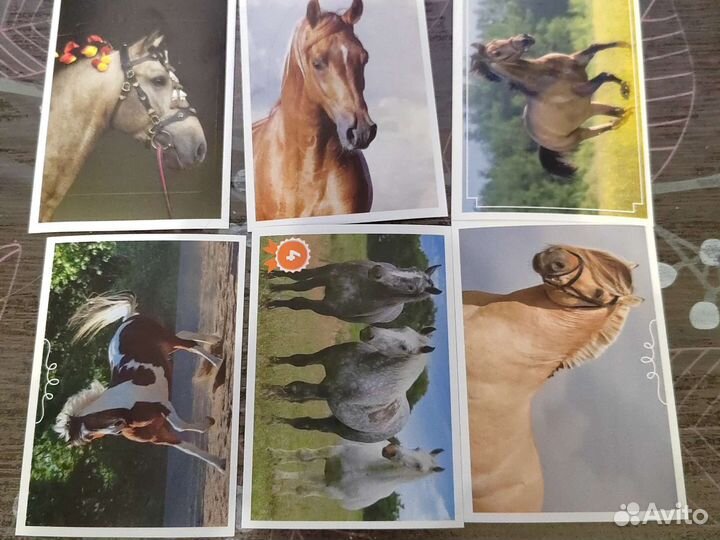 Наклейки panini