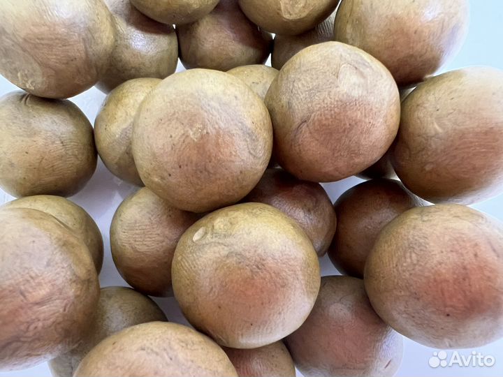 Прополис пчелиный