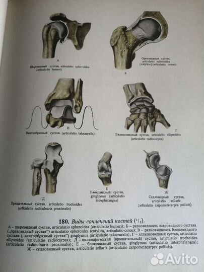 Атлас анатомии человека 1 том Синельников Р. 1972г