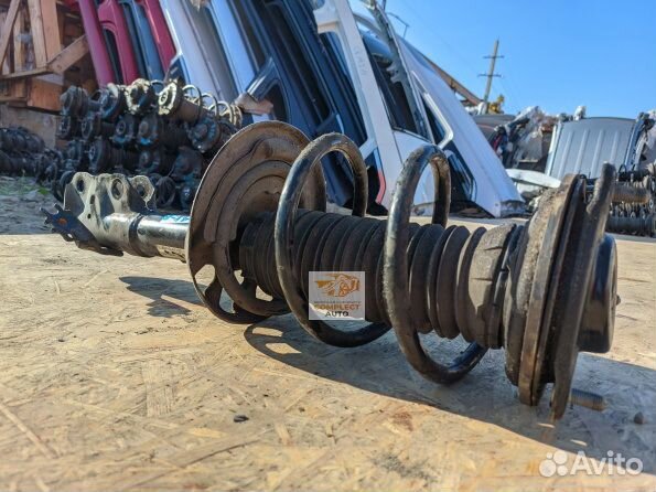 Амортизатор передний правый Toyota RAV-4 (XA50)