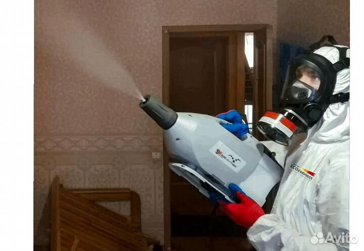 Уничтожение клопов тараканов грибка плесени