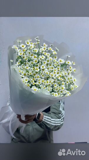 51 Ромашка с доставкой