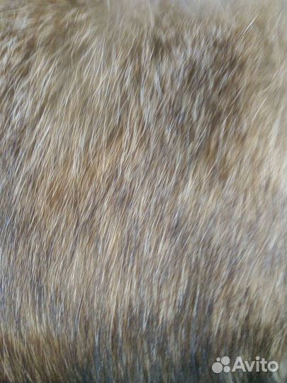 Меховой воротник енот