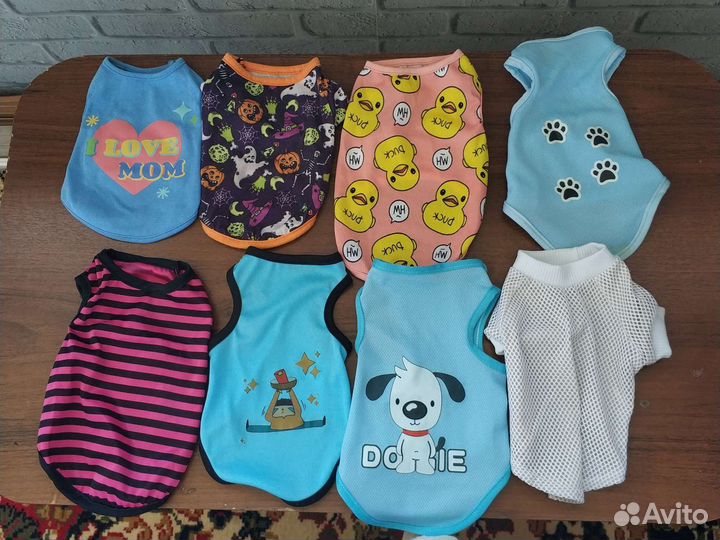 Одежда для собак мелких пород