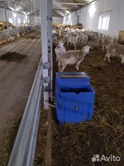 Поилка для крс пластиковая