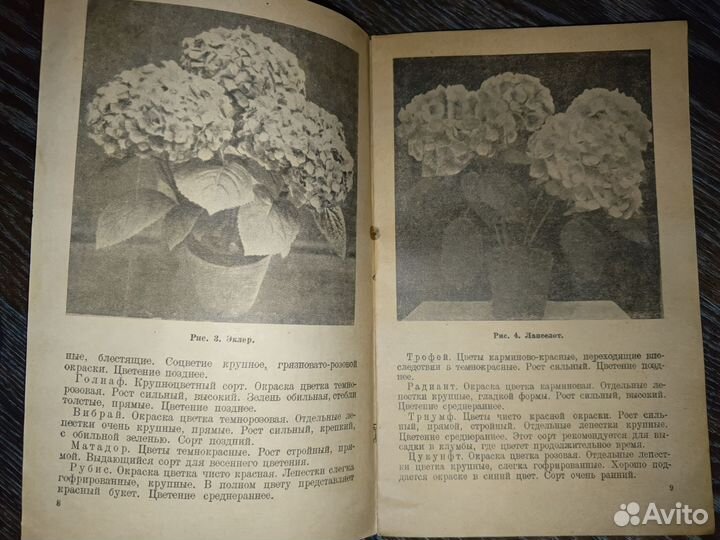 Книга, Гортензии Ю.Т. Сурс 1938г