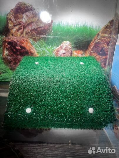 Аквариум на 50 литров