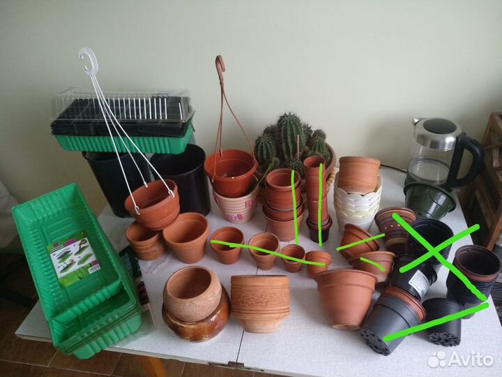 Горшки и минитеплицы для рассады и не только