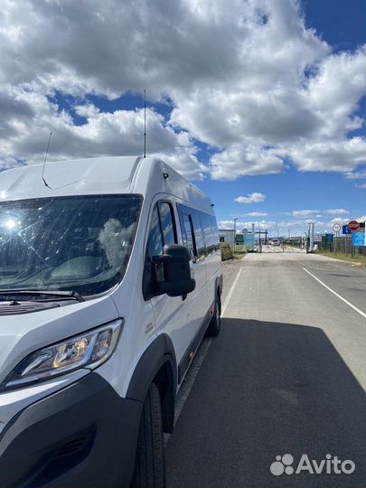 Заказ автобуса, трансфер автобус, аренда автобуса