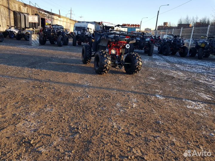 Квадроцикл Raptor 125 h +шлем,цепи