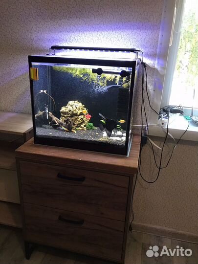 Аквариум с рыбками 60 л