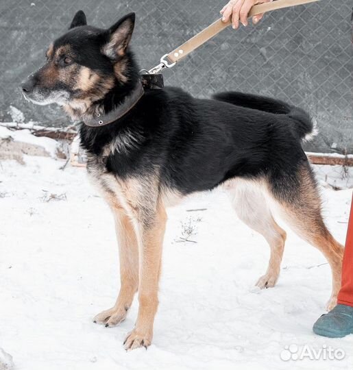Клёвый Форд для души и безопасности