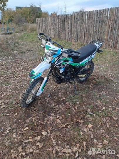 Racer panther 250
