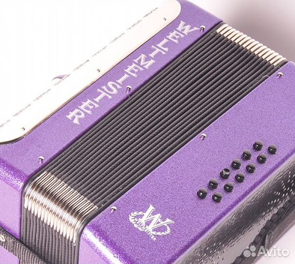 Kinderakkordeon Аккордеон детский 22/II/12/II, фио