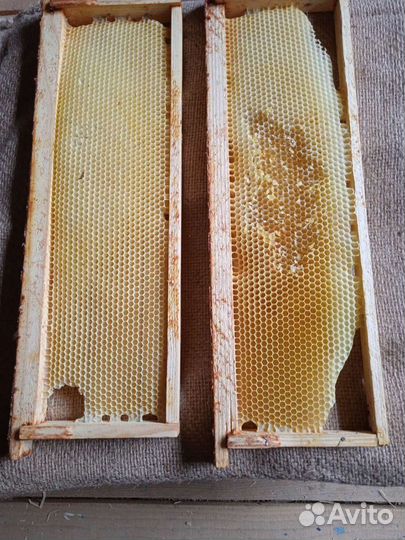 Рамки с вощиной