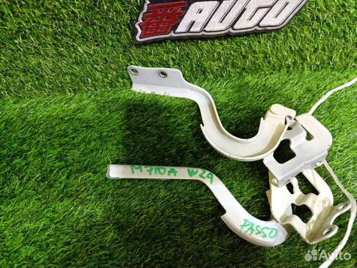 Петля капота Toyota Passo M700A