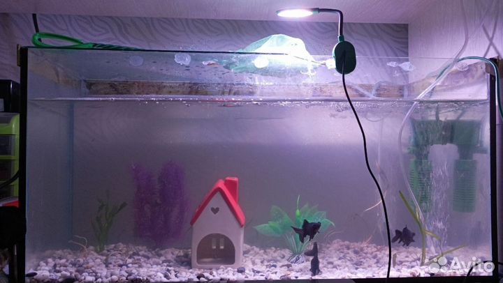 Аквариум