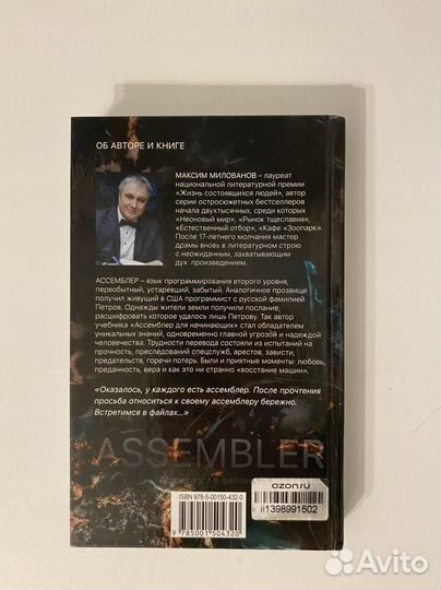 Assembler, или Встретимся в файлах