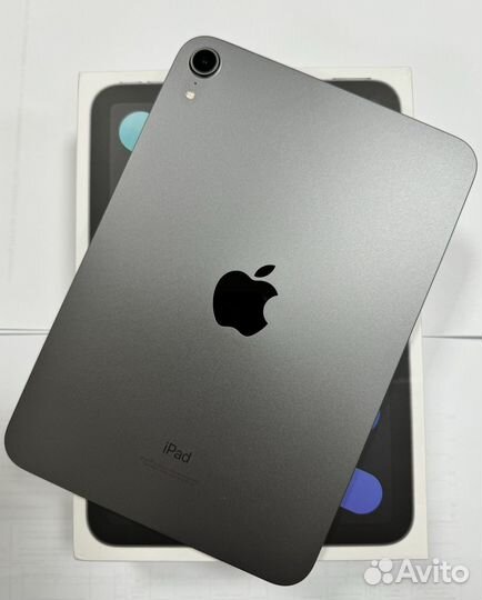 iPad mini 6 256