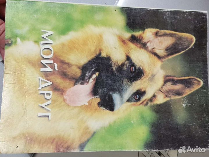 Книга про собак