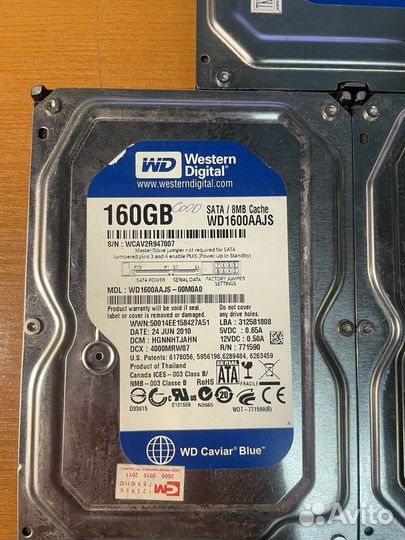 Western digital 3.5 160gb