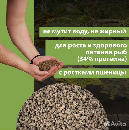 Корм для карпов кои и прудовой рыбы - bodapro