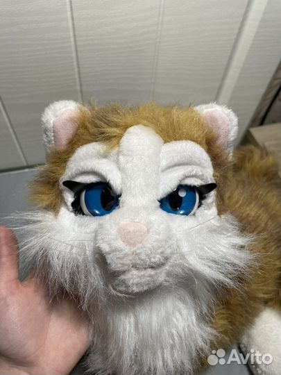 Интерактивная кошка черри