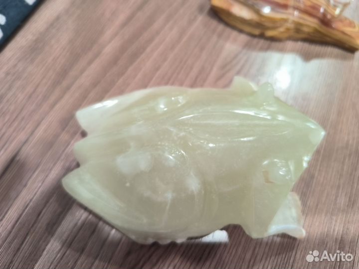 Лягушки Оникс