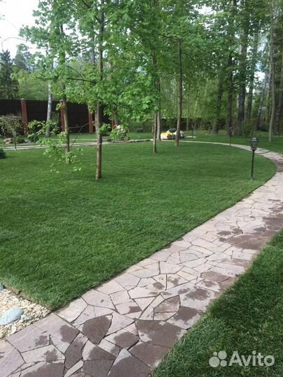 Рулонный газон элитный