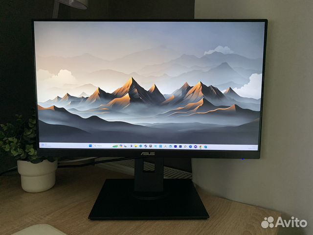Asus VA24E купить в Екатеринбурге | Электроника | Авито