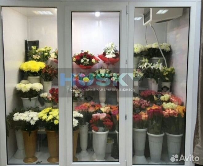 Холодильная камера для цветов. Витрина цветочного магазина. Холодильная камера для цветов. Сплит-система для цветочной камеры. Холодильник для цветов.