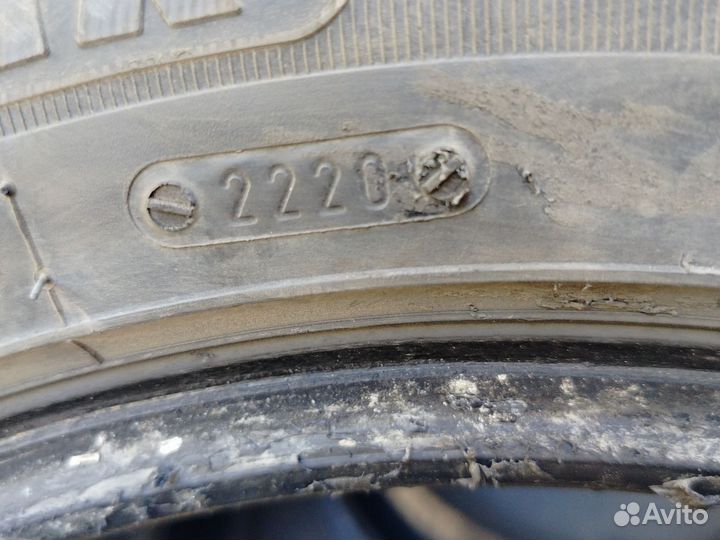 Tigar Ice 205/55 R16