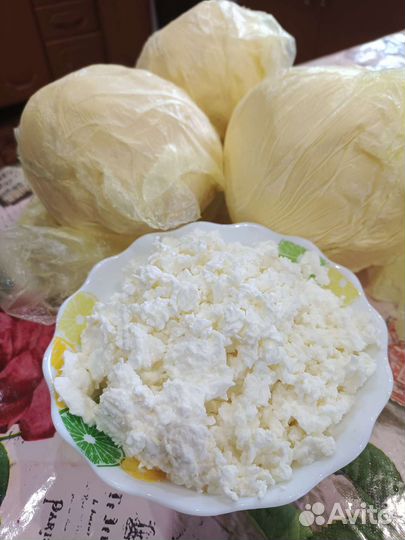 Молочные продукты