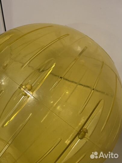 Прогулочный шар для грызунов