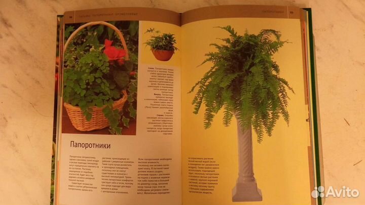Подарочная книга-альбом Комнатные растения