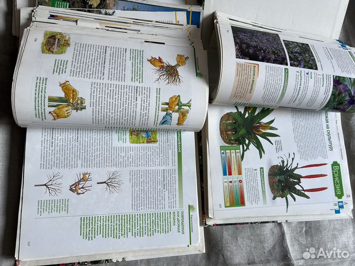 Каталоги 3 шт. Все о растениях