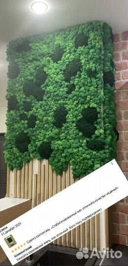 Стабилизированный мох для мелких работ,кашпо