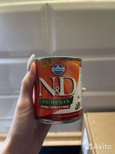 Корма для мелких собак N&F pumpkin