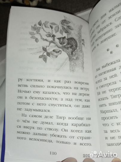Книга Холли Вебб