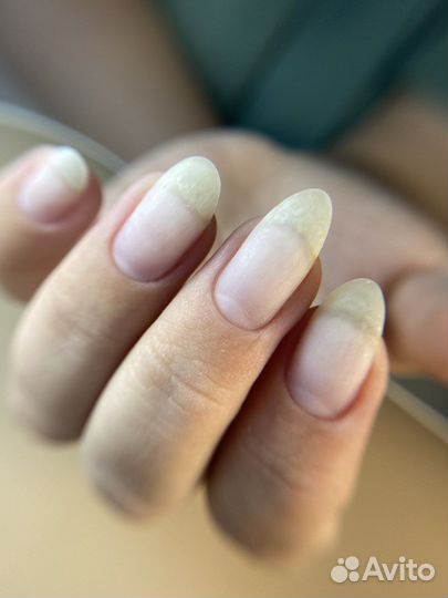 Модель на маникюр бесплатно