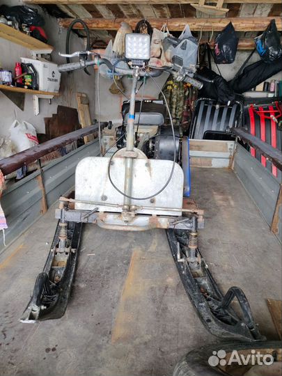 Мото собака