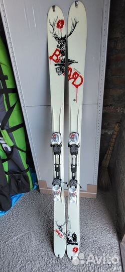 Горные лыжи