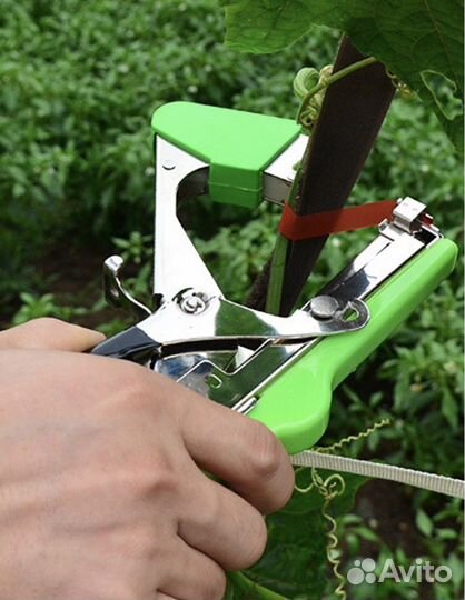 Тепенер садовый