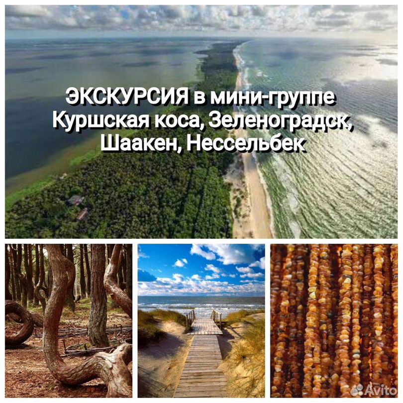 Экскурсия. Куршская коса, Зеленоградск, замки