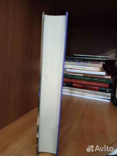 Книга роман Кира Стрельникова Дикая и опасная