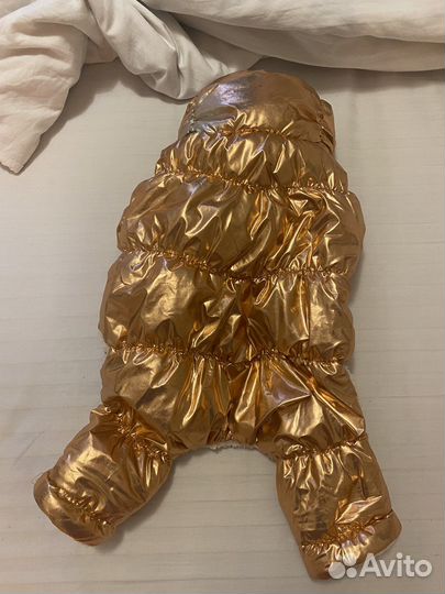 Комбинезон зимний для собак. Одежда для собак