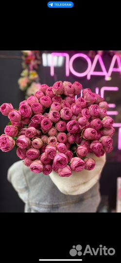 Кустовые розы