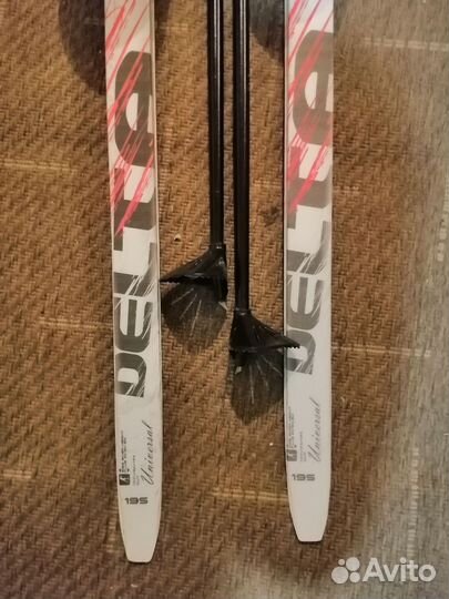 Беговые лыжи Delta motor universal 195